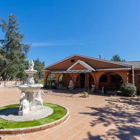 Finca El Palomar De La Vina Madrid Eksteriør billede
