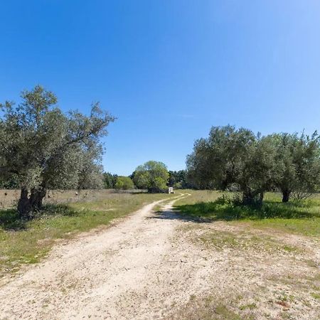 Finca El Palomar De La Vina Madrid Eksteriør billede