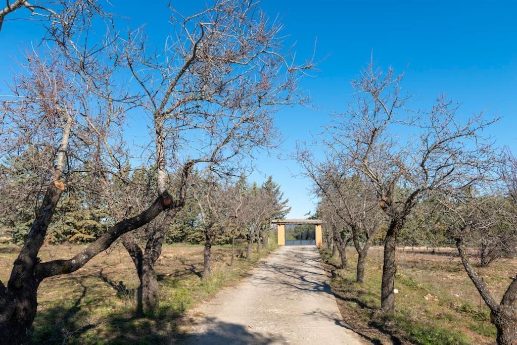 Finca El Palomar De La Vina Madrid Eksteriør billede