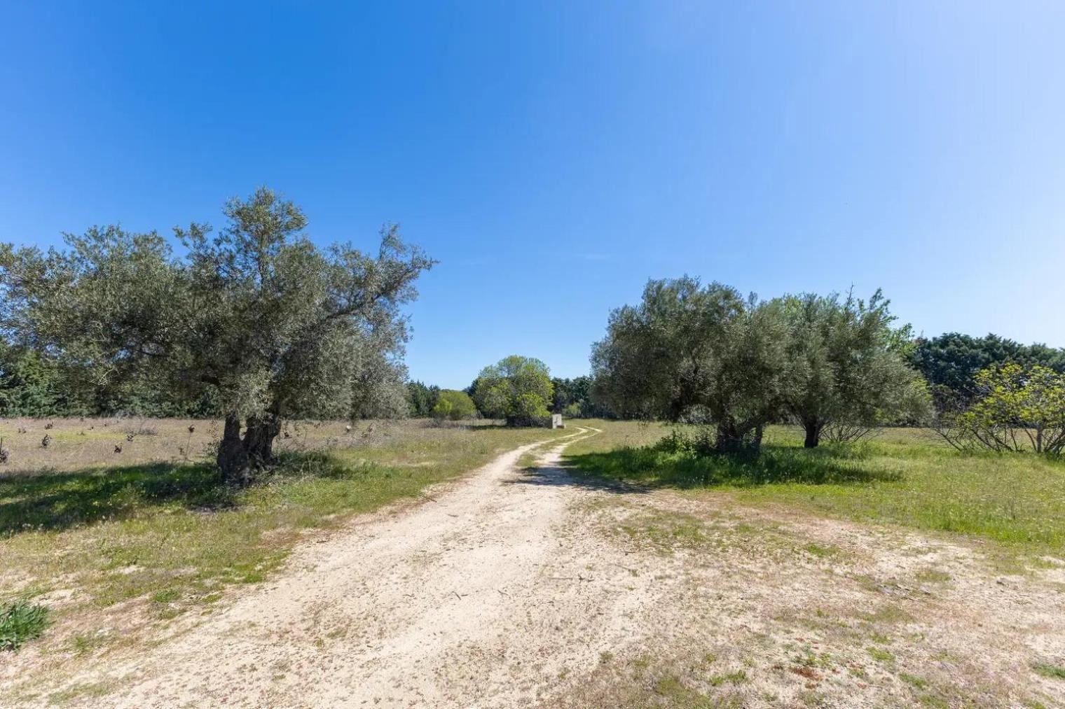 Finca El Palomar De La Vina Madrid Eksteriør billede